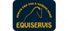 t_equiservis