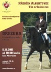 t_plakat-drezura1-240x339